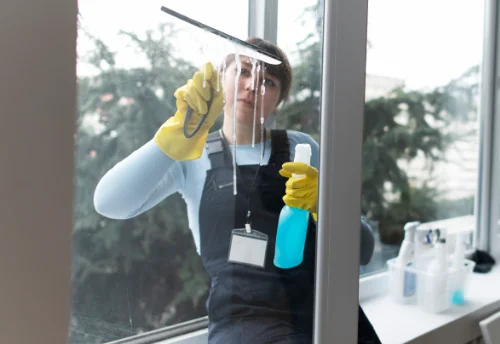 Nettoyage de vitres intérieures et extérieures à Chamvres